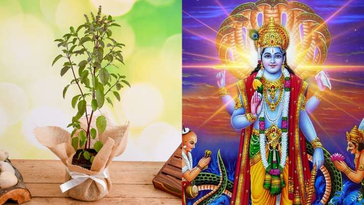 Dev uthani ekadashi 2023 II Tulsi Vivah 2023 II देवउठनी एकादशी 2023 II