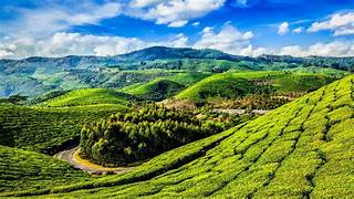 Munnar, Kerala