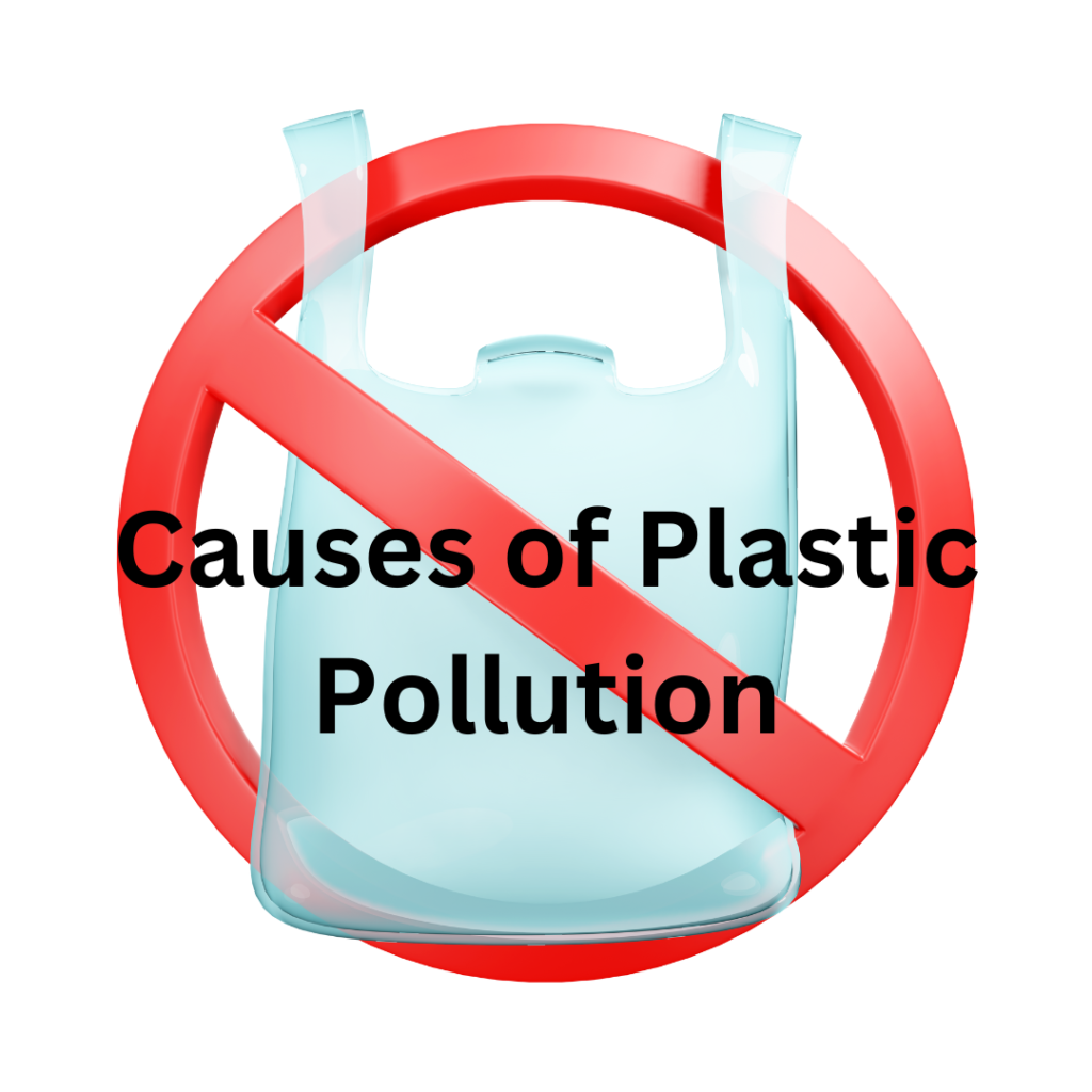 Causes of Plastic Pollution