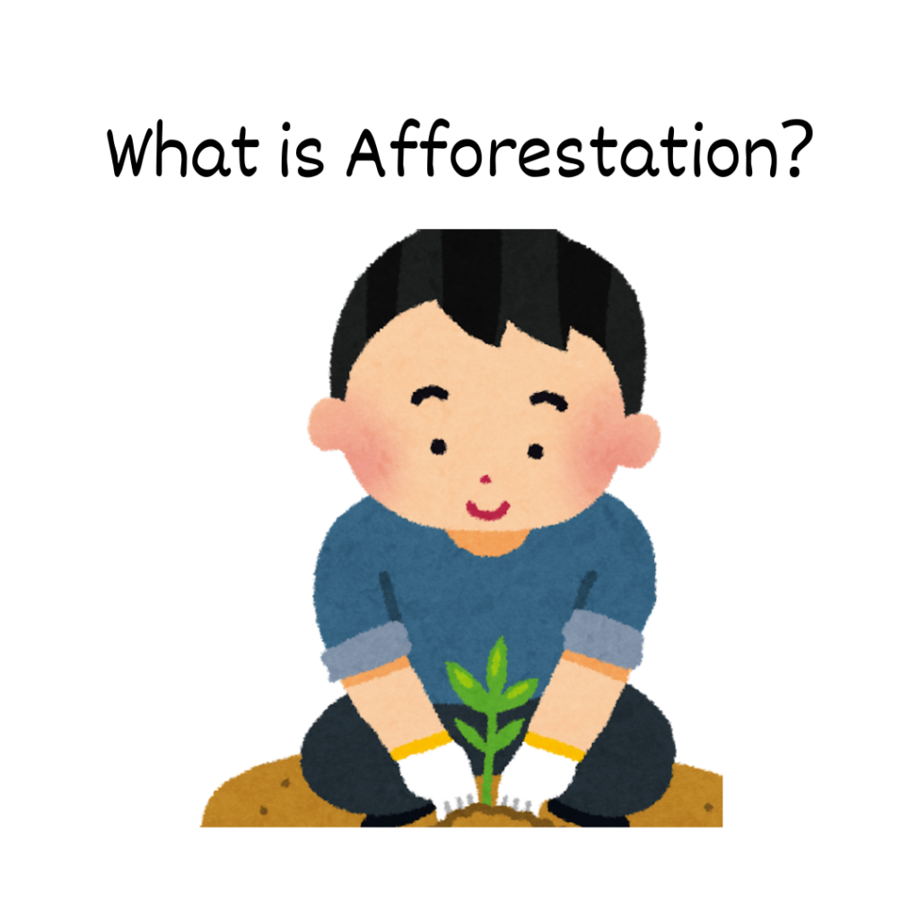 What is Afforestation 1