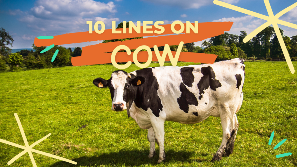 10 lines on cow