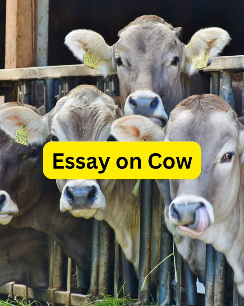 Essay on Cow