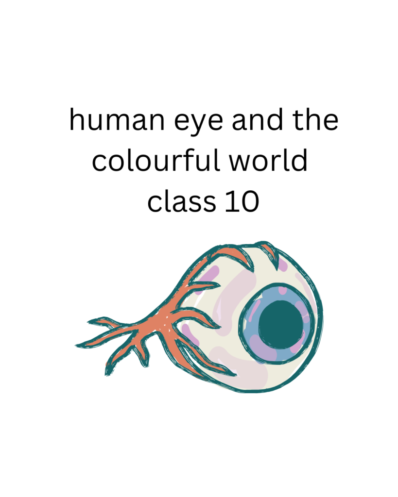 human eye and the colourful world class 10