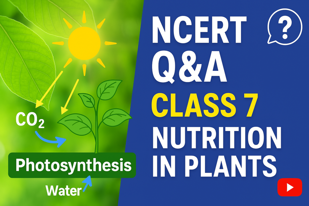 Class 7 Chapter 1 Nutrition in plants question answers