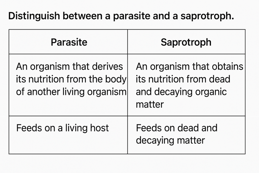 Distinguish between a parasite and a saprotroph.